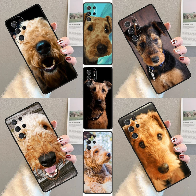 Airedale Terrier Do… - image