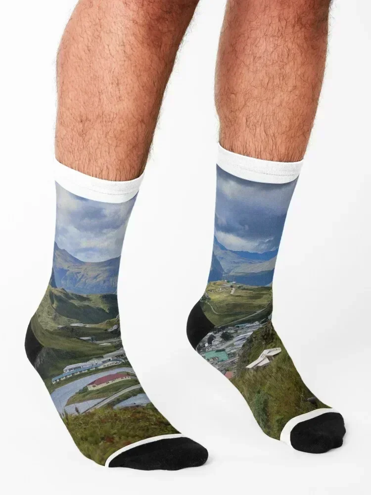 AleutianLife Unalaska Summer Green Socks tennis sheer men cotton high quality short Men's Socks Luxury Women's