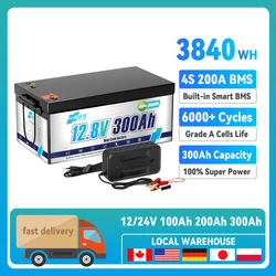 12V 300Ah 200ah 100ah LiFePO4 Lithium Battery,Built-in BMS,Low Temperature Protection Deep Cycle Battery for Trolling Motor,RV