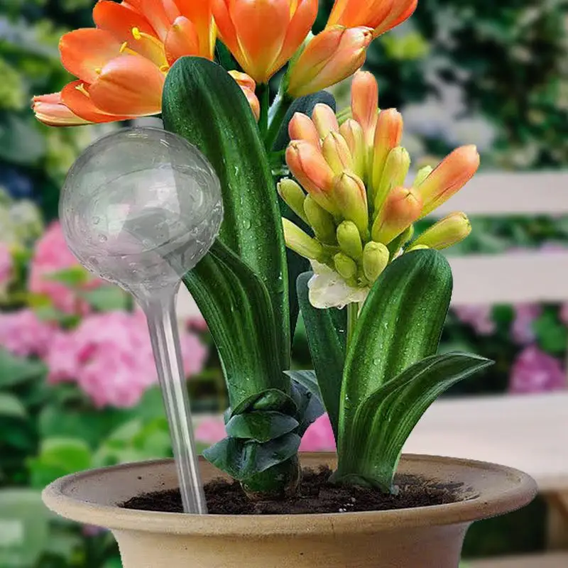 Plant Waterer Self Automatic Plant Watering Bulb Watering Globes Clear Aqua Bulbs Drip Irrigation System for Garden Flower Plant