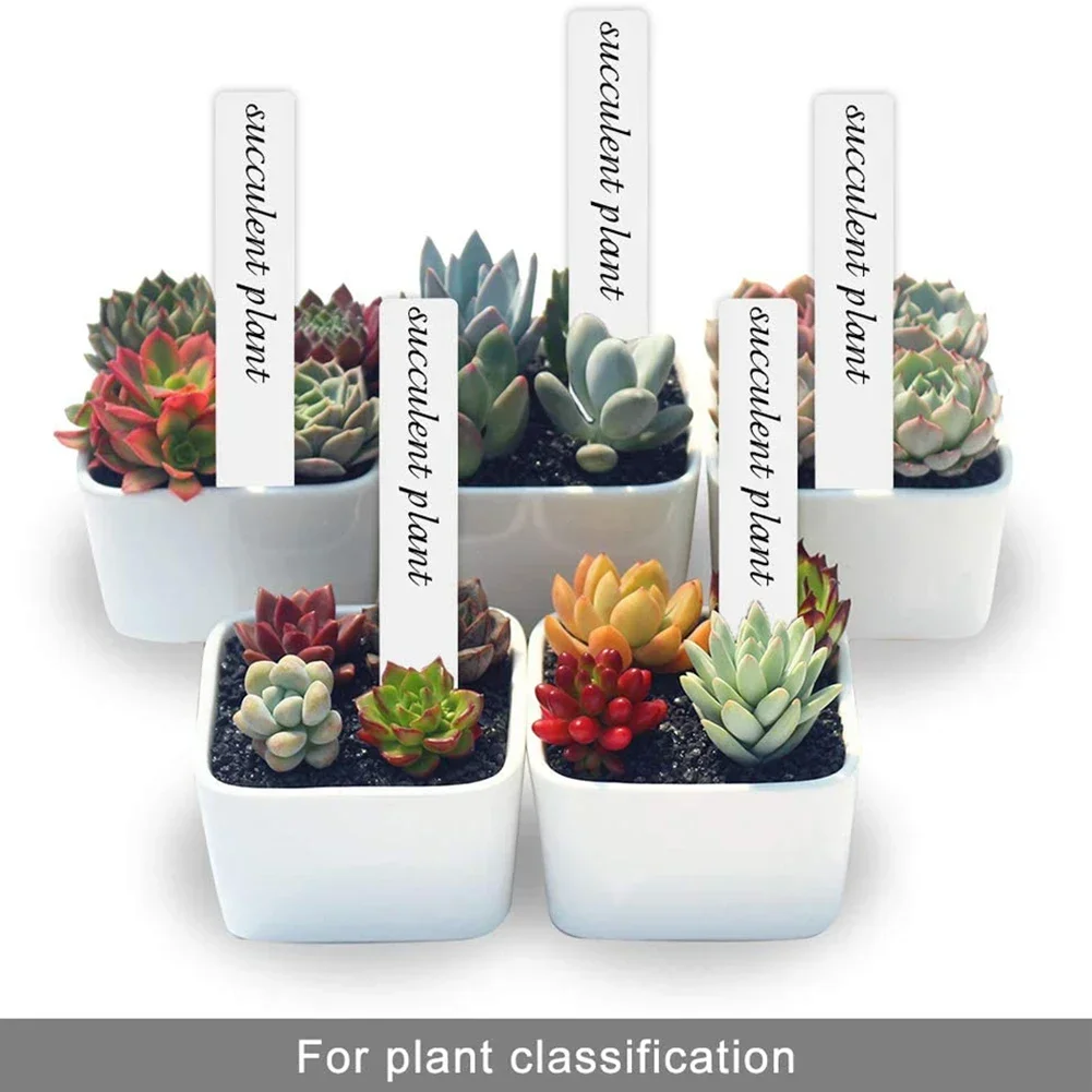 

Name Plant Label Kit Labels Marker Nursery Plant Plastic Set Small Supplies 100pcs Tags 5*1cm Waterproof White