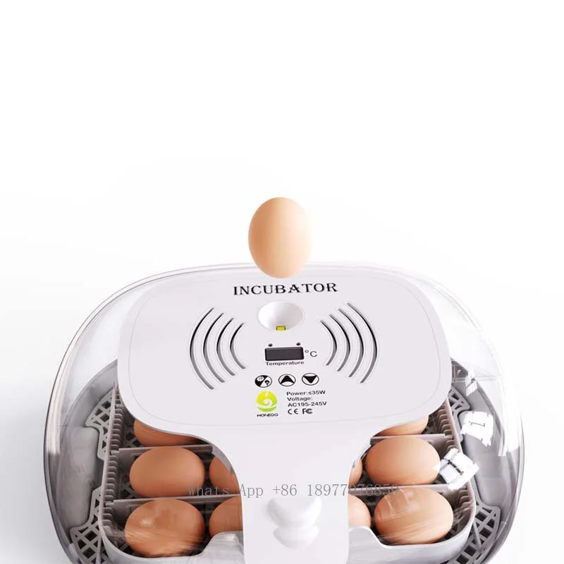 Nuevo Equipo de cría para incubar pollos, incubadora de huevos multifuncional de dieciséis para el hogar, totalmente automática, con un solo clic