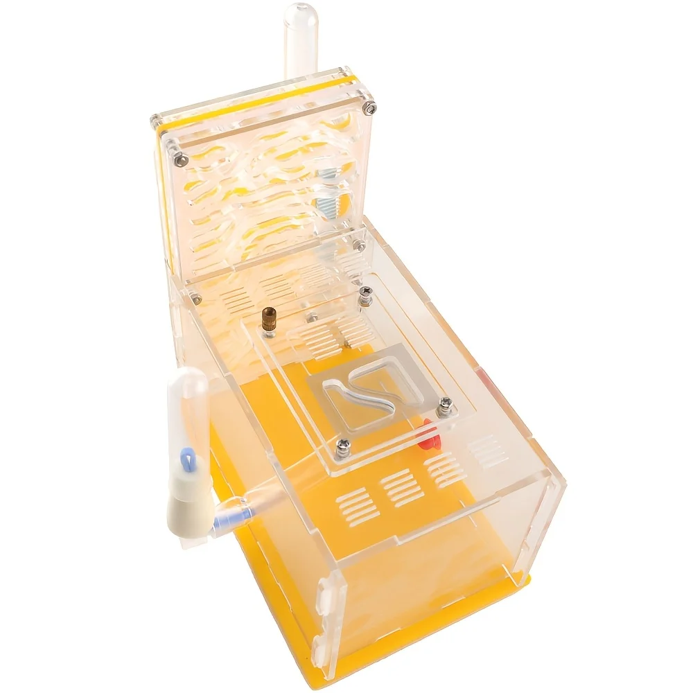 Ant Farm Science Kit - 3D Ant Observation Habitat Ant Farm Science Kit - 3D Ant Observation Habitat