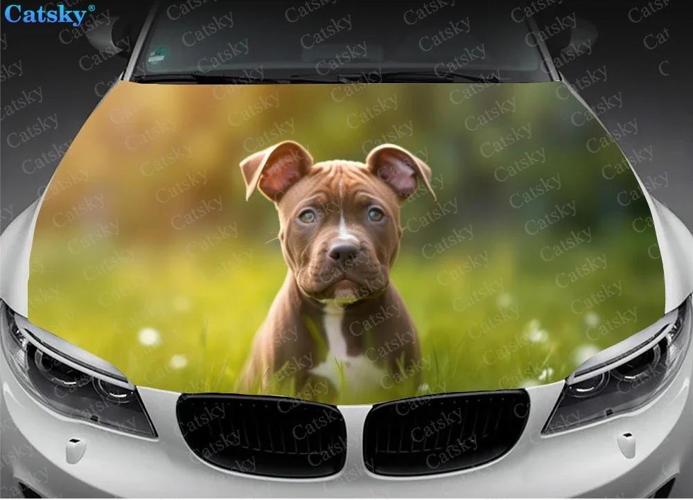 Staffordshire Bull Terrier Dog Car Hood Vinyl Stickers Wrap Vinyl Film Engine Cover Decals Sticker on Car Auto Accessories