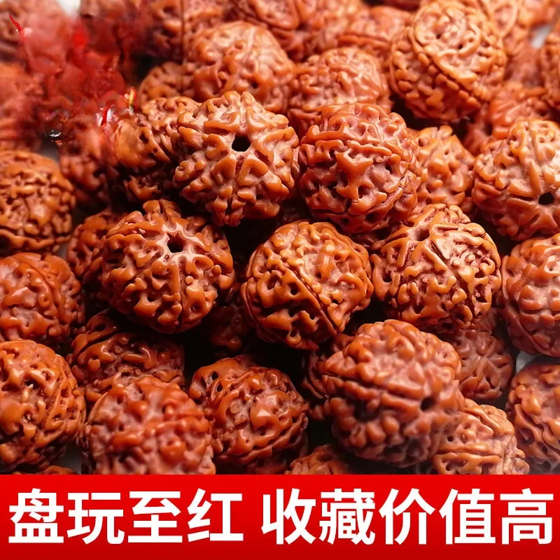 18/19/20mm Vajrayana Bodhi Wholesale Nepal Loose Beads Explosive Meat Hand String Necklace Buddha Beads Accessories Materials