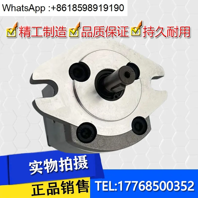 HGP-1A-F4R HGP-1A-F6R F1R F2R F3R F5R F8R Pompa Olio Idraulico, Pompa A Ingranaggi