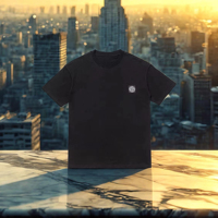 Stone Summer Correct Version Printing Small Label Casual Versatile Round Neck T-shirt Short Sleeve Men's Island Island