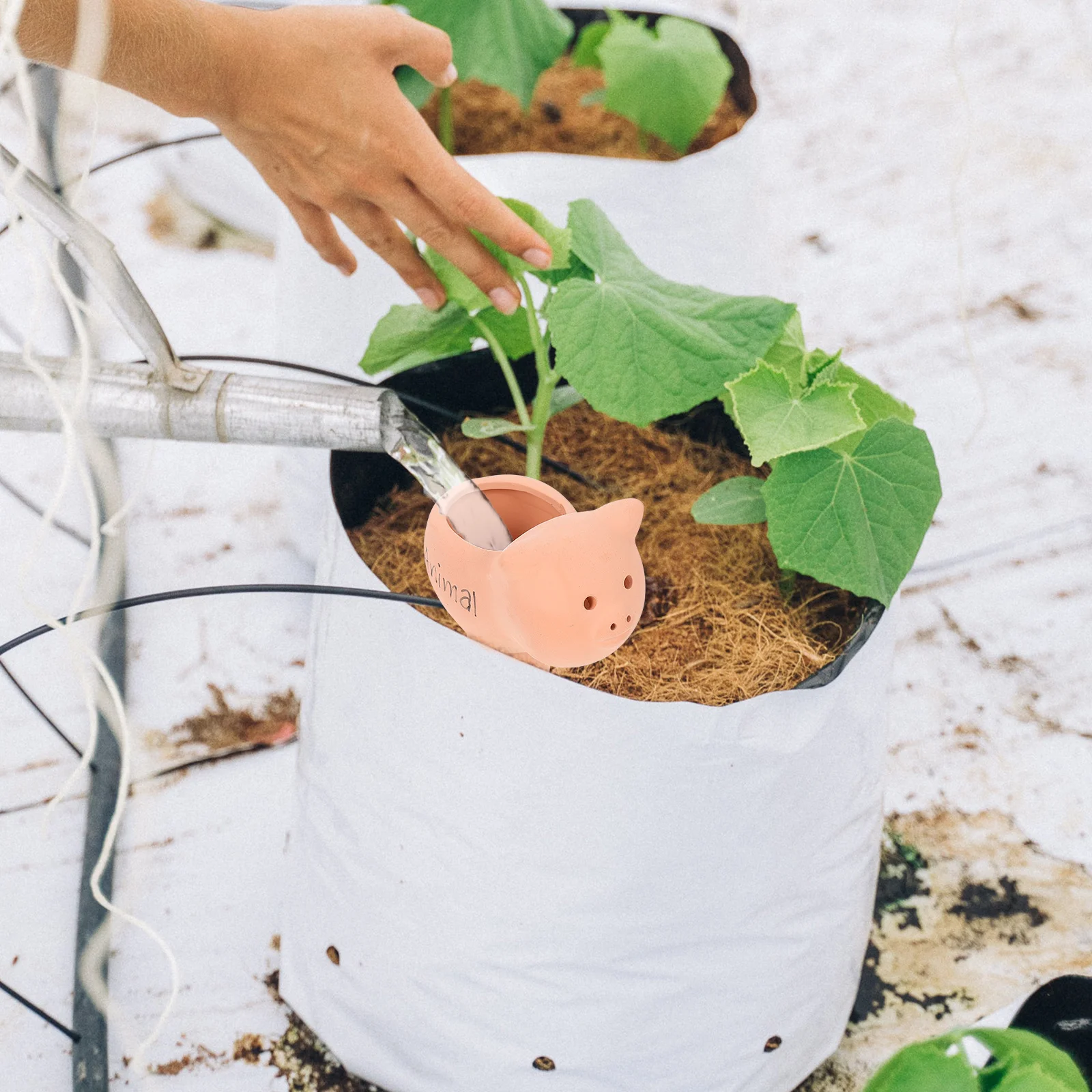 

Ceramic Automatic Watering Device Creative Cute Shape Self-Watering Spike Irrigation Tool for Indoor Outdoor Plants Garden