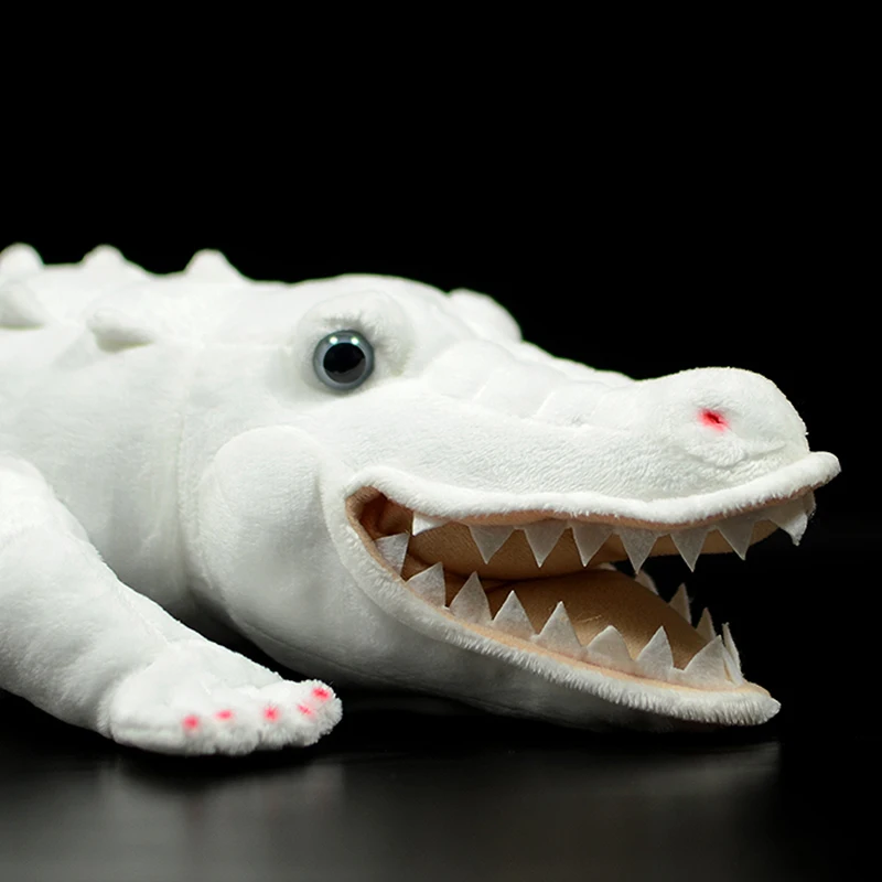 50cm niedlichen Krokodil weichen Plüsch tier Simulation Albino Alligator echte Leben Puppe Crocodylus Siamensis Tiermodell Geschenk