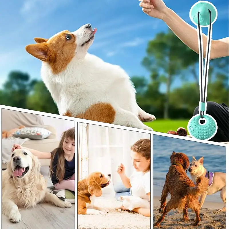 New Pet Suction Cup Pull Rope Toy Interactive Leaking Slow Feeder Chew Toy Teeth Cleaning Training Ball For Puzzle Pet Supplies