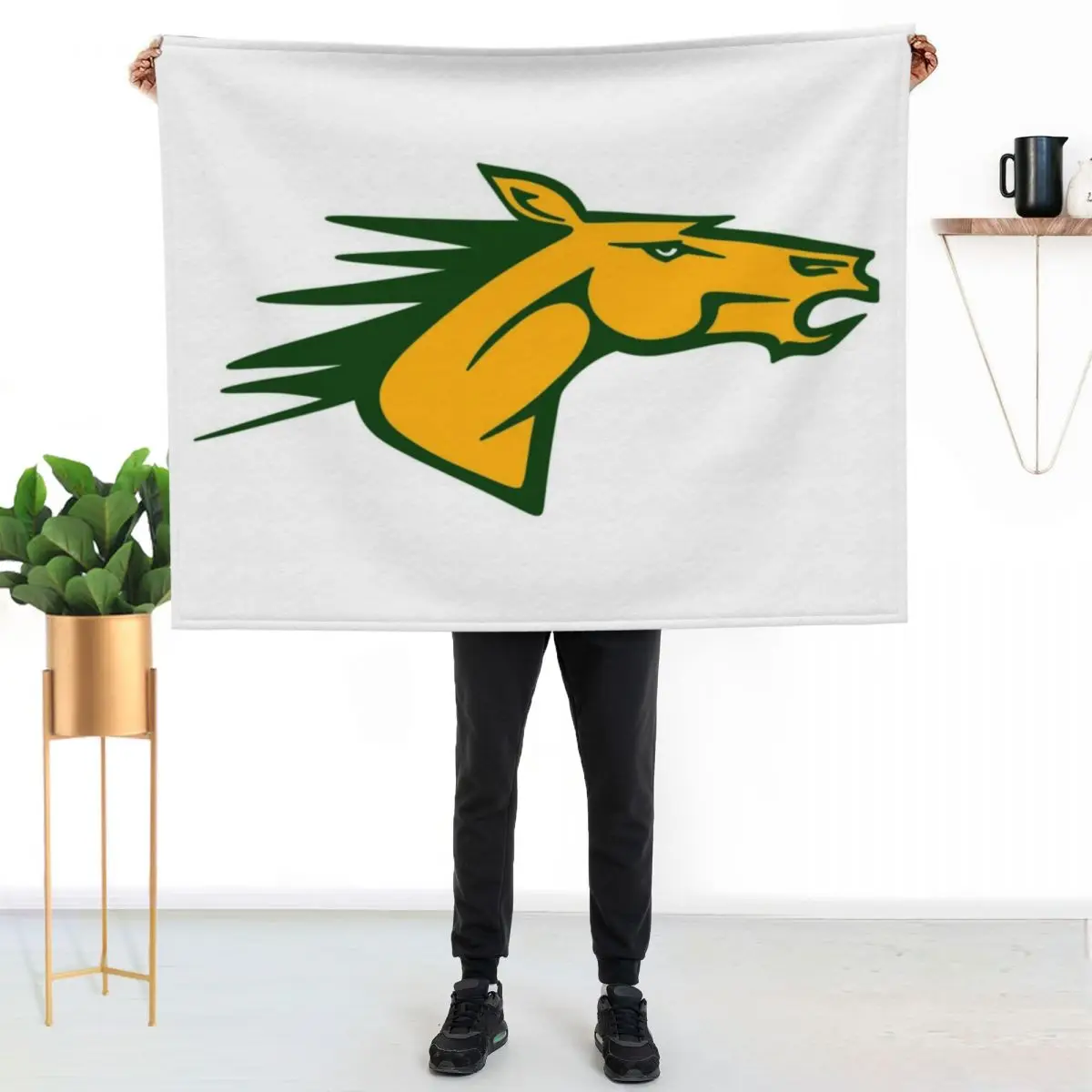 Bronco (SUNY Delhi) (1) Throw Blanket couch cozy soft plush fuzzy picnic outdoor blanket