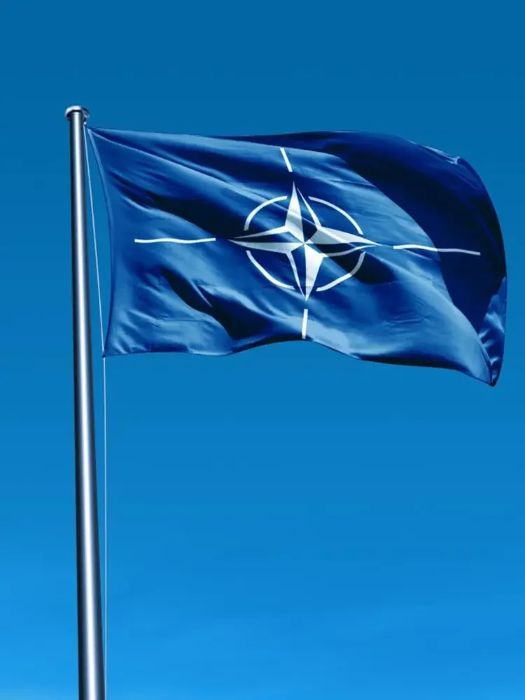 FLAGDOM 90 x 150cm North Atlantic Treaty NATO Flag Polyester NATO Banner International Organization Flag