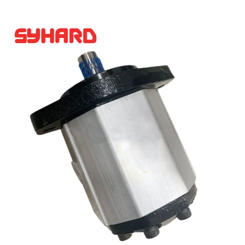 Gear Pump BHP3A0D55C0R2 BHP3A0D20C0R2 BHP3A0D22C0R2 BHP3A0D26C0R2 BHP3A0D33C0R2 BHP3A0D39C0R2 BHP3A0D46C0R2