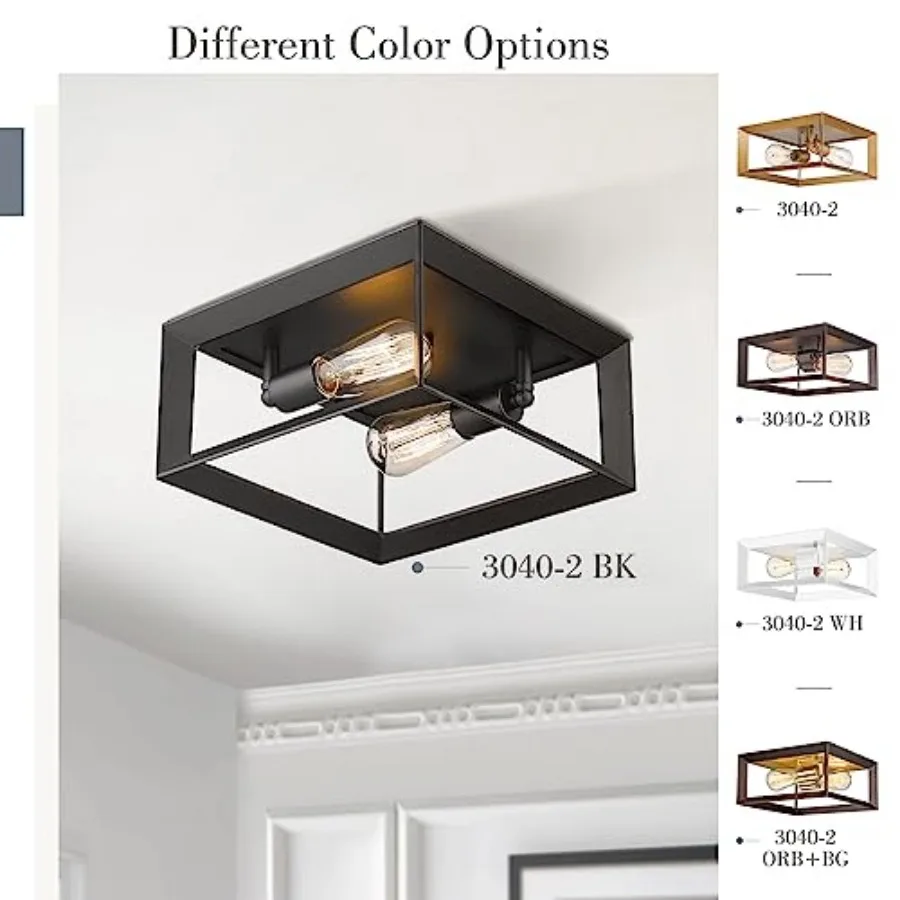 2-Light Flush Mount Ceiling Light, 11 Inch Farmhouse Ceiling Light Fixture for Bedroom, Finish with Aluminum Frame, 3040-2 BK
