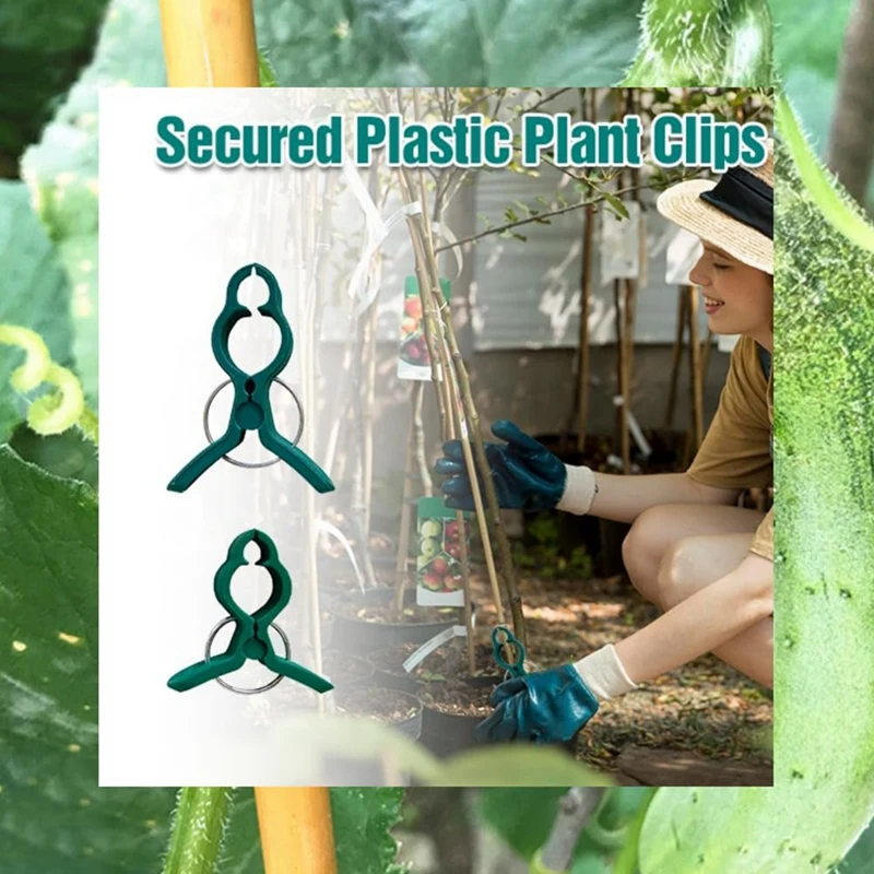 Fixed Plastic Plant Clips, Plant Support Clips Plant Clips For Climbing Plants, Fixed Plant Vine Clips For Garden Vines