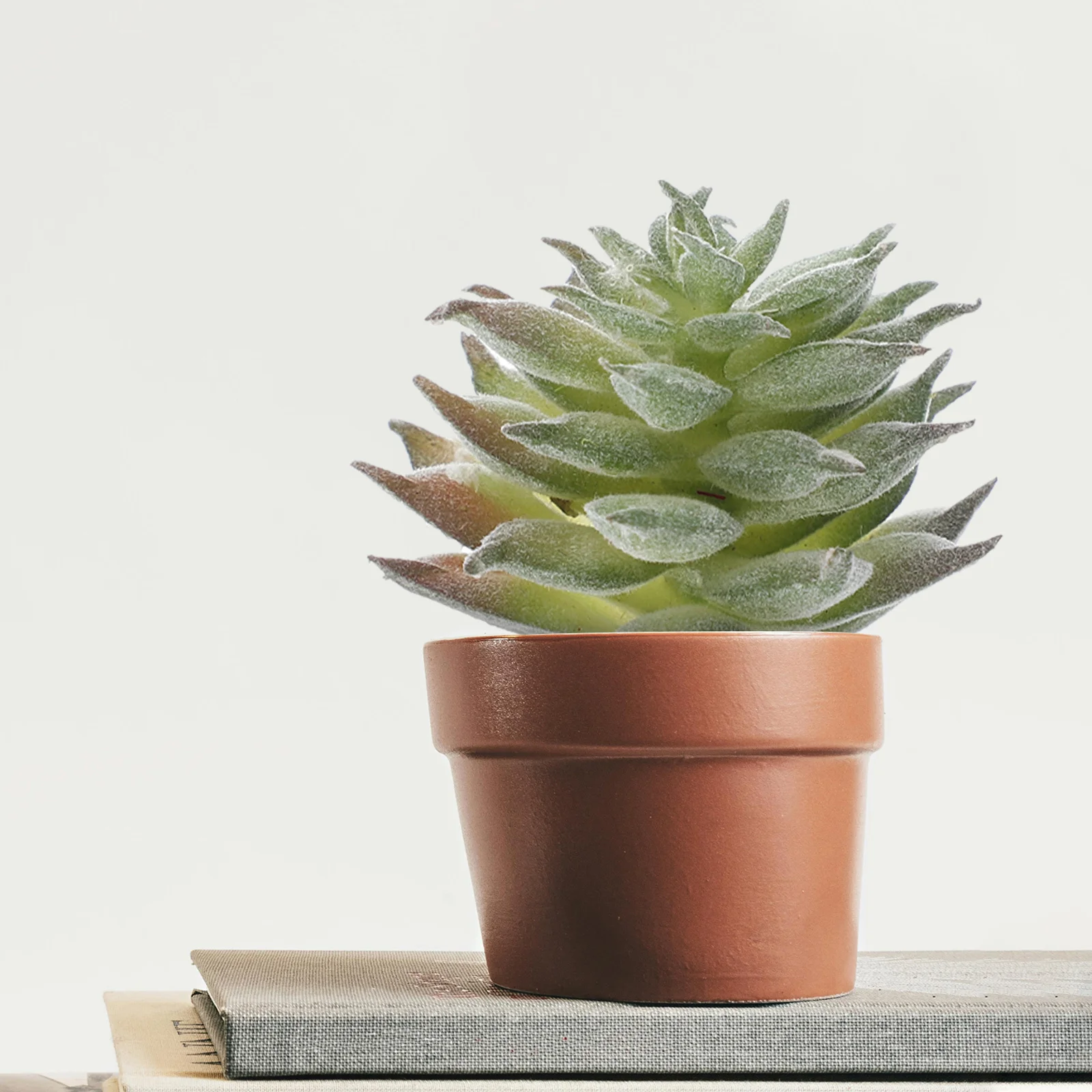 

6Pcs Artificial Plastic Succulent Plants Realistic Faux Plant Decoration for Office Home Desk Fake Plant Decor
