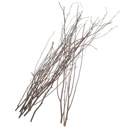 12 Pcs Birch Branch Decoration Decorative Dried Branches Natural Small Twigs Venue Setting Props