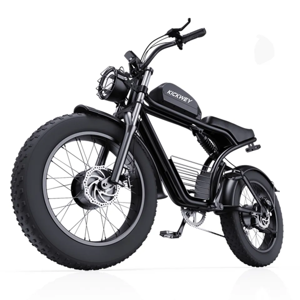 3000W Peak Dual Motors Electric Bike E-Mountain Dirt Ebike Motobike for Adults
