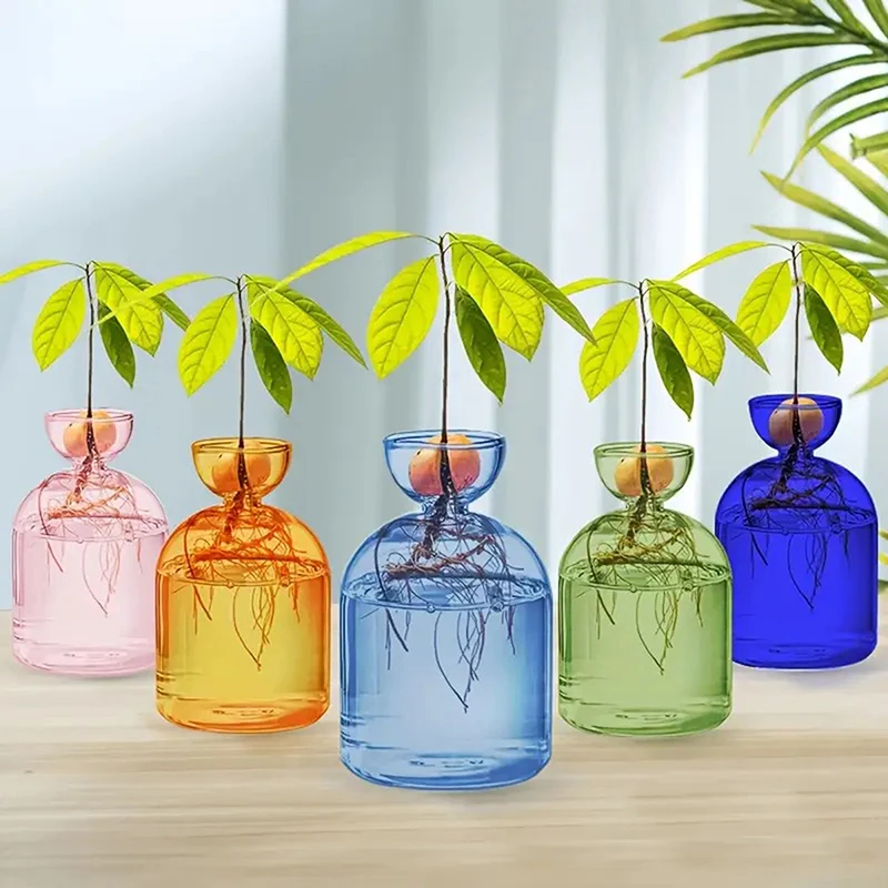 【F】Colorful Transparent Avocado Hydroponic Vase Glass Avocado Seed Starter Vase Plant Seed Growing Kit Gardening Home Decor