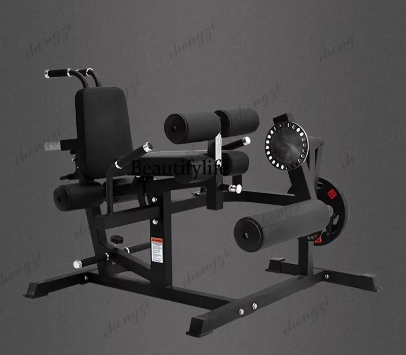 Rectus Abdominis Muscle Exercise Back Training Prone Reverse Leg Lift Flexion Hip Fitness Roman Chair