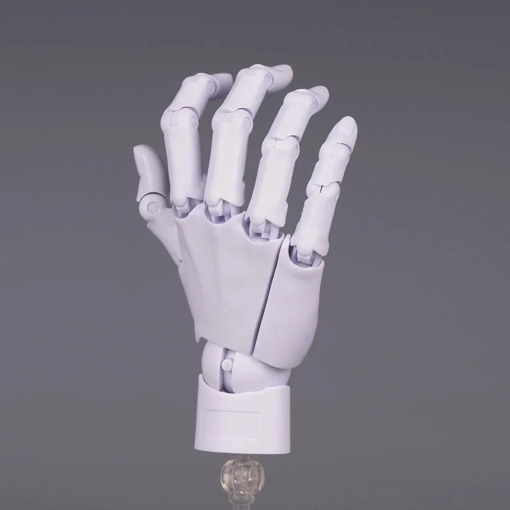 1:2 Scale Human Hand Model Movable Joints Twisted Egg Design Articulated Action Figure With Posable Fingers Mini Size