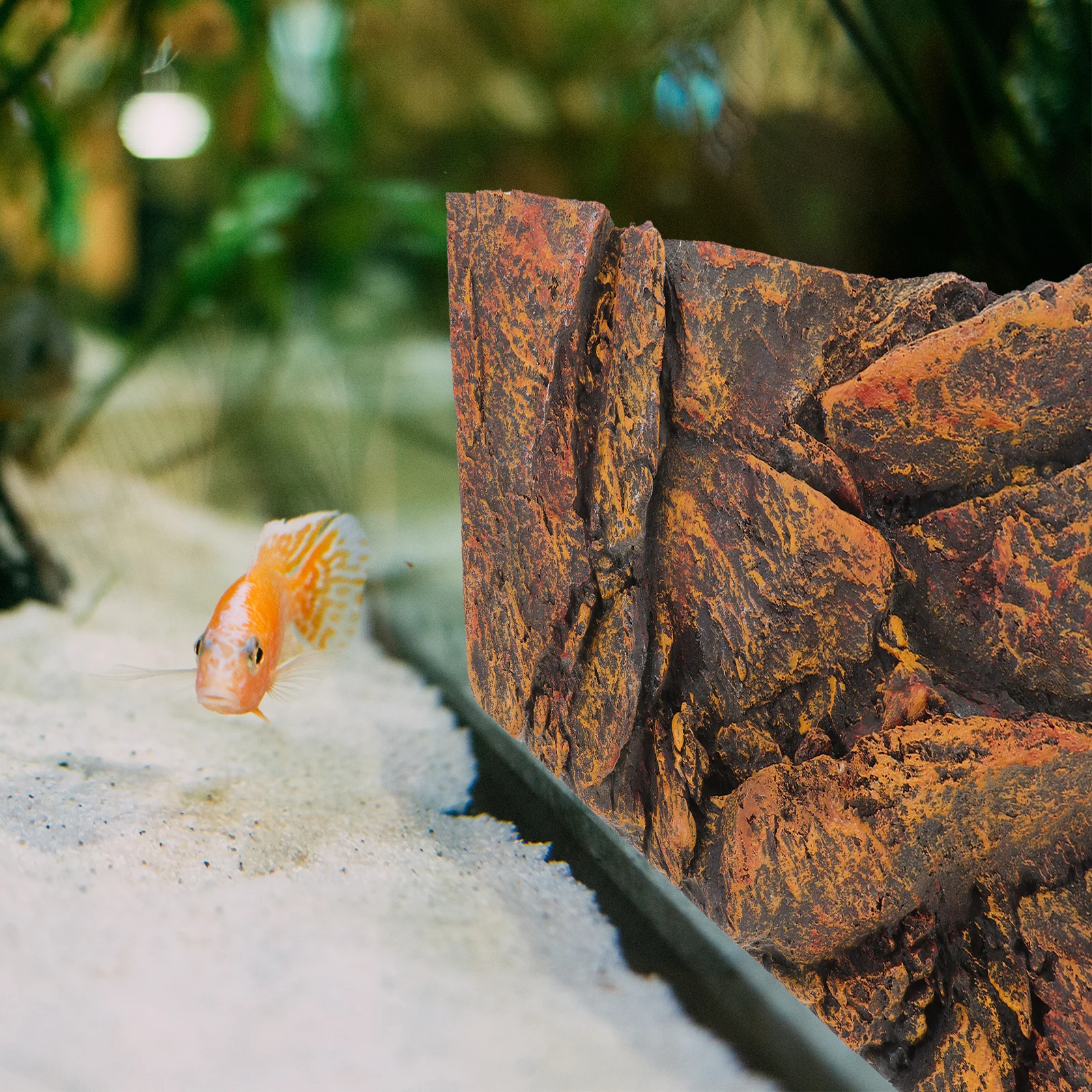 

3D Fish Tank Background Board Reptile Box Backdrop Terrarium Decorative Plates Aquarium L scaping Photo Props Safe Paint Bright