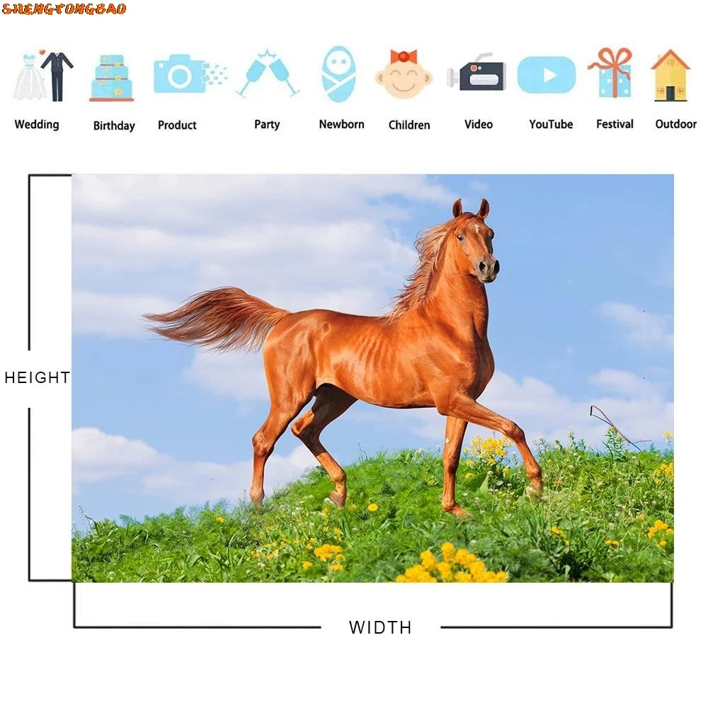 خلفية التصوير الفوتوغرافي المراعي السماء الزرقاء غائم تشغيل الحصان الأطفال التصوير الفوتوغرافي خلفية فوتوزون لاستوديو الصور