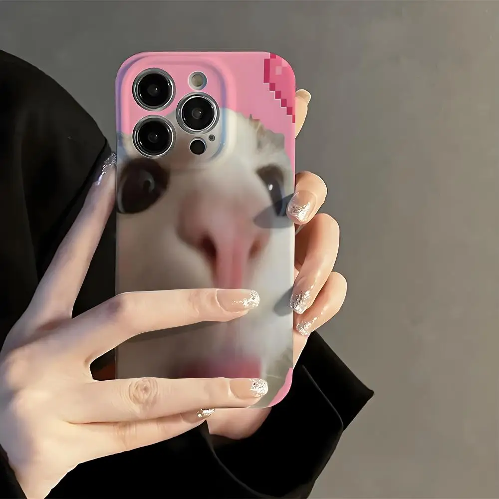 

rap D-Drakes Singer album Phone Case Film Korean INS for iPhone 16 15 14 13 12 11 Pro Max Plus Luxury Cover