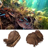 30PCS  Natural Terminalia Catappa Leaves Cleaning Treatment Fish Tank Filter Aquarium Foetida Leaves Shrimp Catfish Love