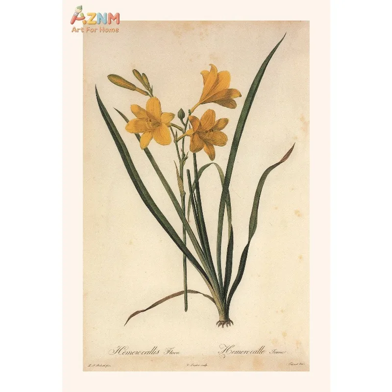Vintage Classic Rhizome Knowledge Plant Flowers Illustration Poster Canvas Painting Wall Art Pictures Home Room Aesthetic Dec