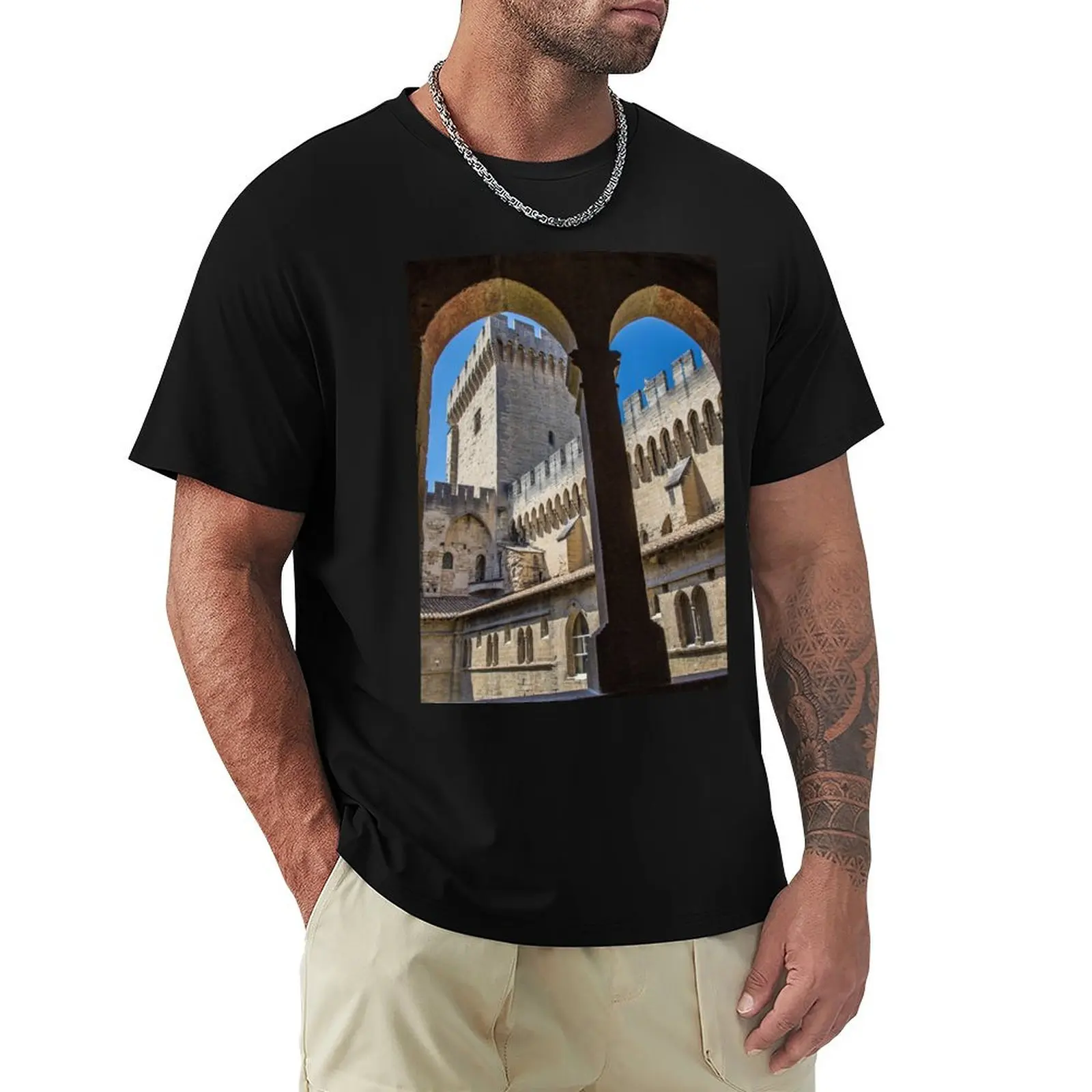 France. Avignon. Papal Palace. T-Shirt tees plus size tops man clothes Men's t-shirts