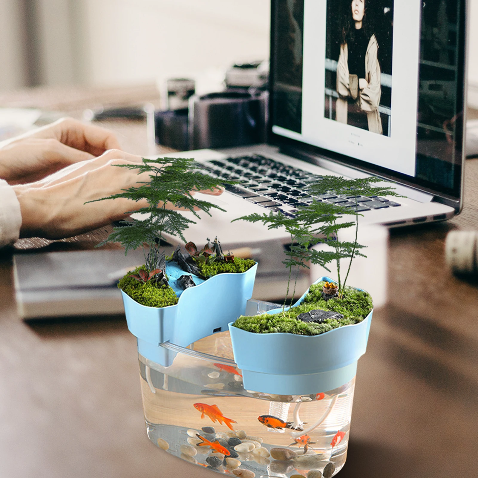 

Small Desktop Fish Tank Tanks Turtle Multi-function Goldfish Aquarium Tabletop Decorative Pet