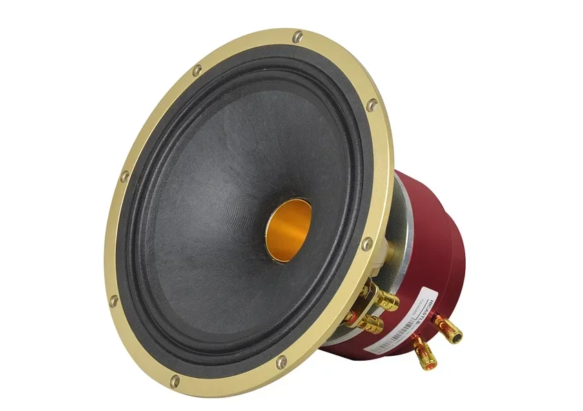 10Inch Coaxial Speaker HI-END Aeromagnetic Panel High And Low Bass Adjustments Custom Divider 300W 8Ohm 1Set