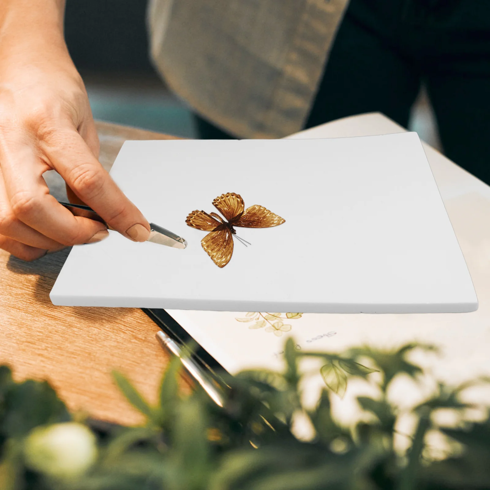 

Butterfly Wings Display Plate Insect Pinning Board Eva Foam Mounting Pad for School Science Projects and Collectors