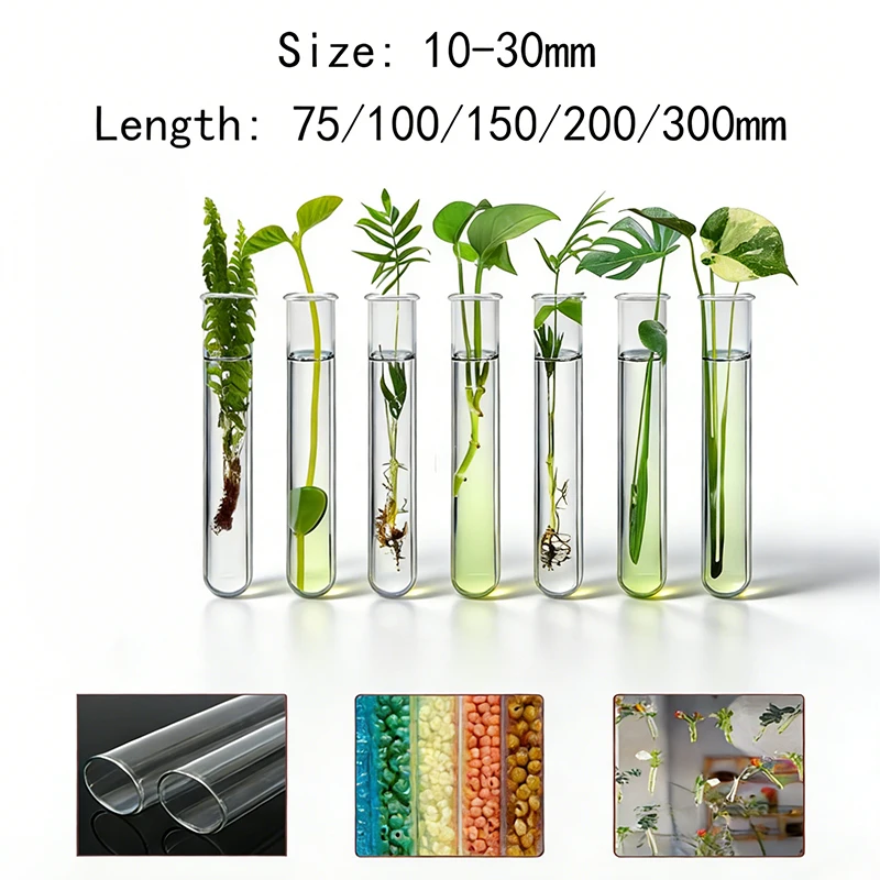 5 Peças de Vaso de Tubo de Ensaio Transparente para Flores, Decoração DIY para Casa, Suporte para Exibição de Plantas Hidropônicas, Incubadora de Plantas de Parede em Vidro Acrílico
