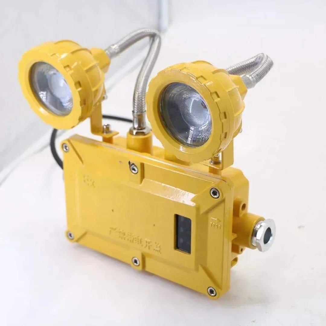 

Explosion Proof Emergency Light 2*3W Led Double-headed Emergency Exit Indicator Light Waterproof Light White