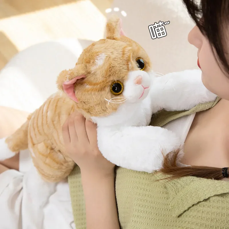 Jouet en peluche beurre de chat couché mignon réaliste, animal en peluche doux, simulation, animal de compagnie, oreiller chaton, décoration d'intérieur pour filles, cadeau d'anniversaire pour enfants