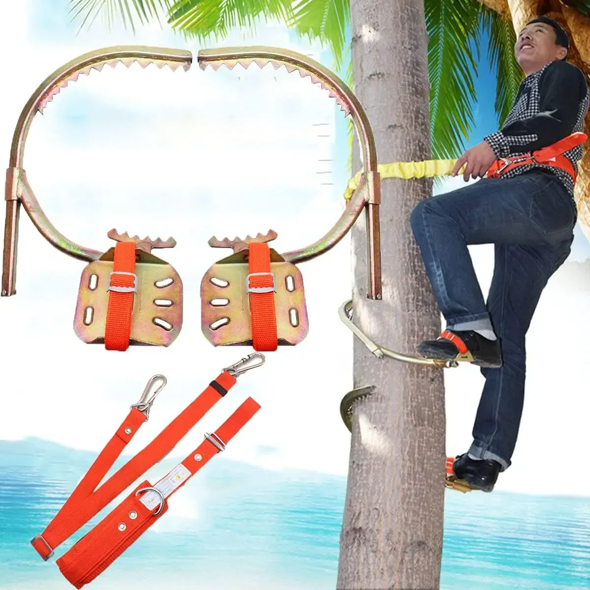 Tree Climbing Gear Non-Slip Pole Climbing Spikes with Safety Harness Electrician Woodworking Wear-Resistant Foot Buckle