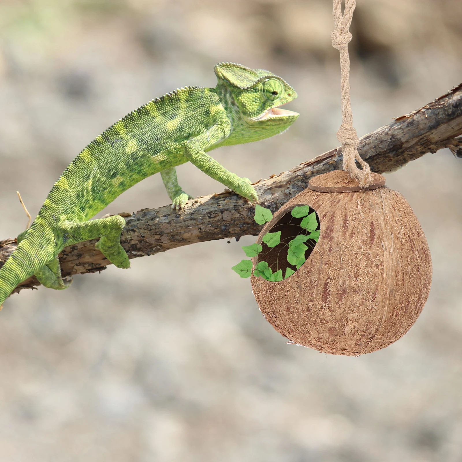 

1set Coconut Nest Vine Set Green Artificial Grass Lizard House Reptile Sleeping Toy Pet Small Pet Nest Supplies