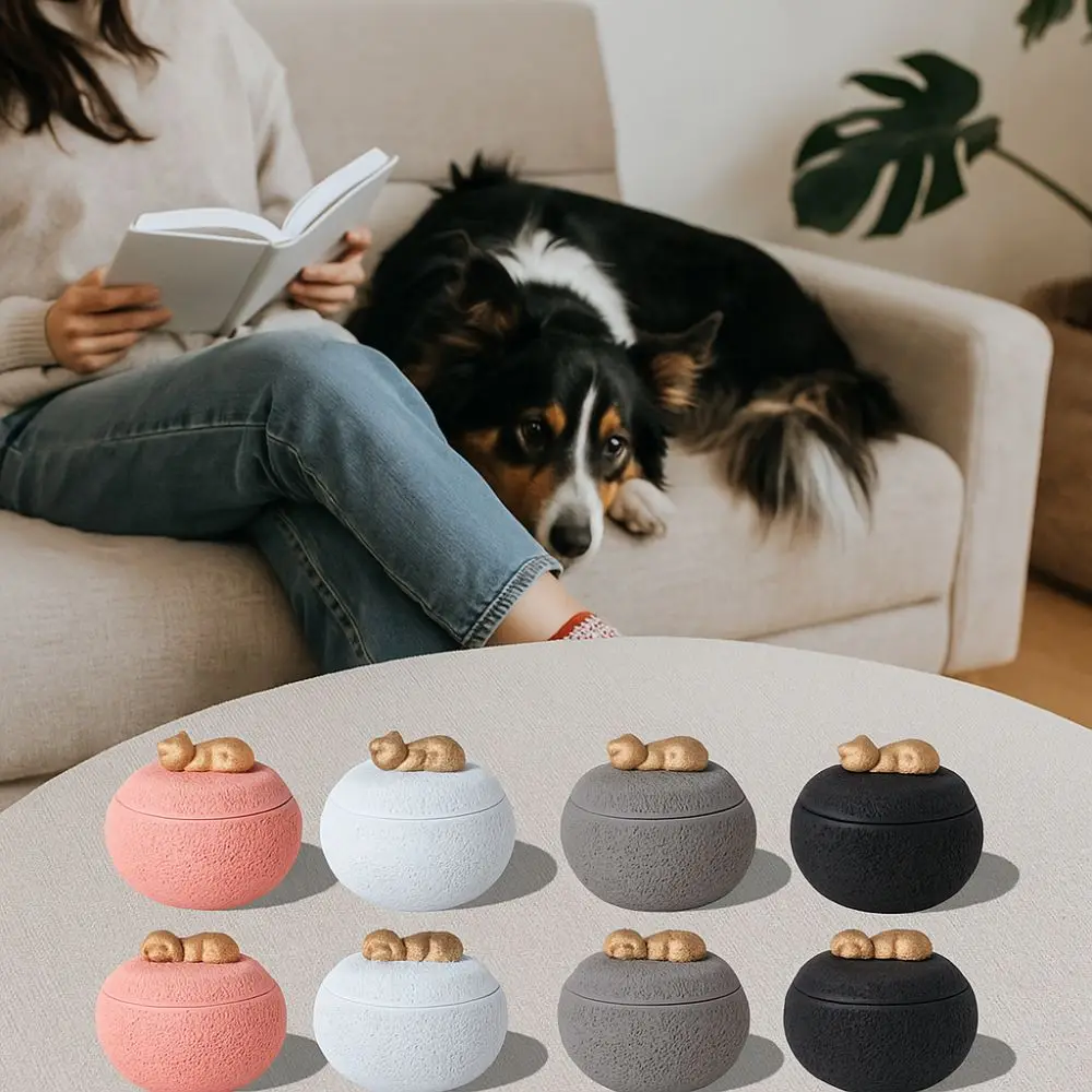 

Cute Pets Memorial Urn Dustproof Waterproof Ashes Sealed Box Moisture Proof with Lid Pet Teeth Hair Storage Box Pet Souvenirs