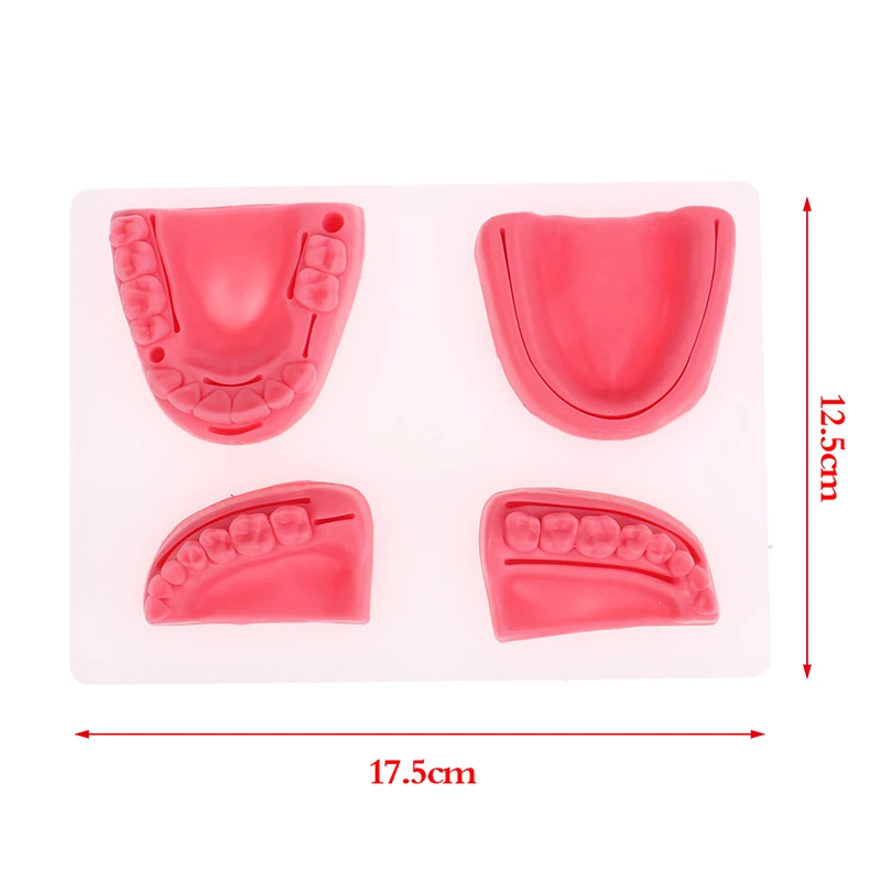 4-teiliges Dental-Simulationsmodell für Mundnaht, Zahnfleisch-Naht-Trainingsausrüstung – Detail 11