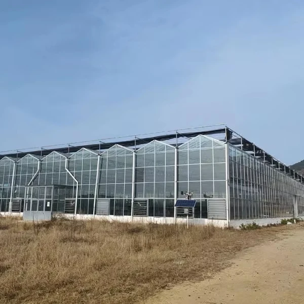 

Customized greenhouseMulti-Span Commercial Agricultural Smart Venlo Glass Greenhouse With Hydroponic Grow System
