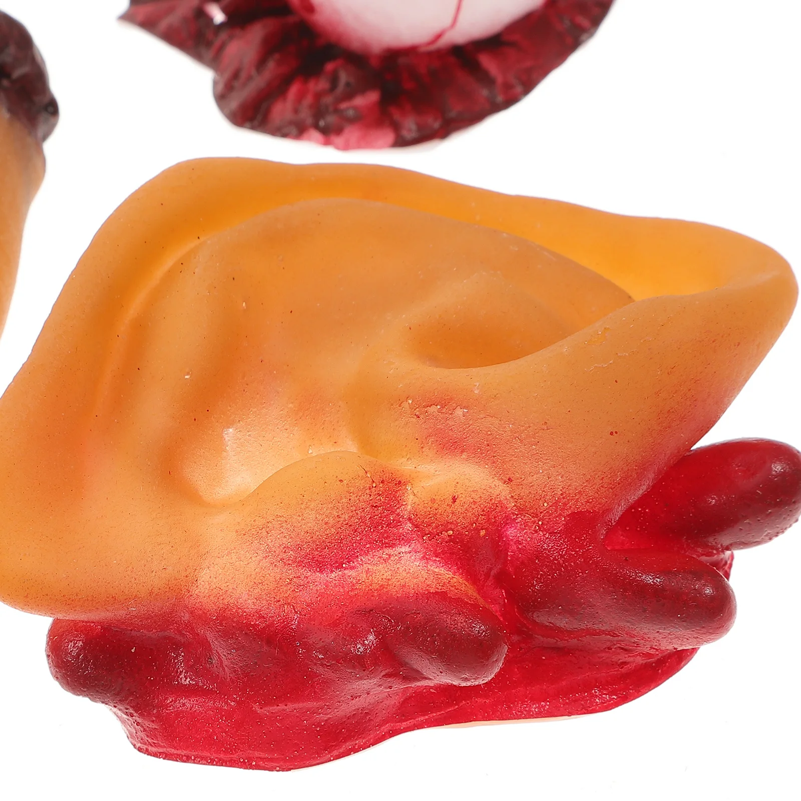 

3pcs Halloween Realistic Brain Heart Eyeball Organ Decorationhorrible Brain Prop Simulation Body Organ Halloween Party