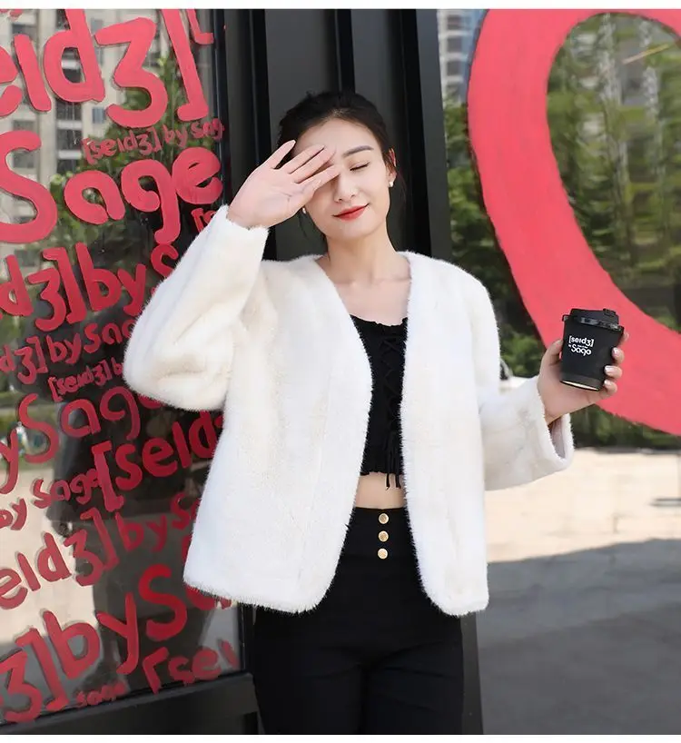 New Rabbit Fur Imitation Fur Coat Women\'s Mink Fur Coat Short and Versatile Internet Famous Plush Coat