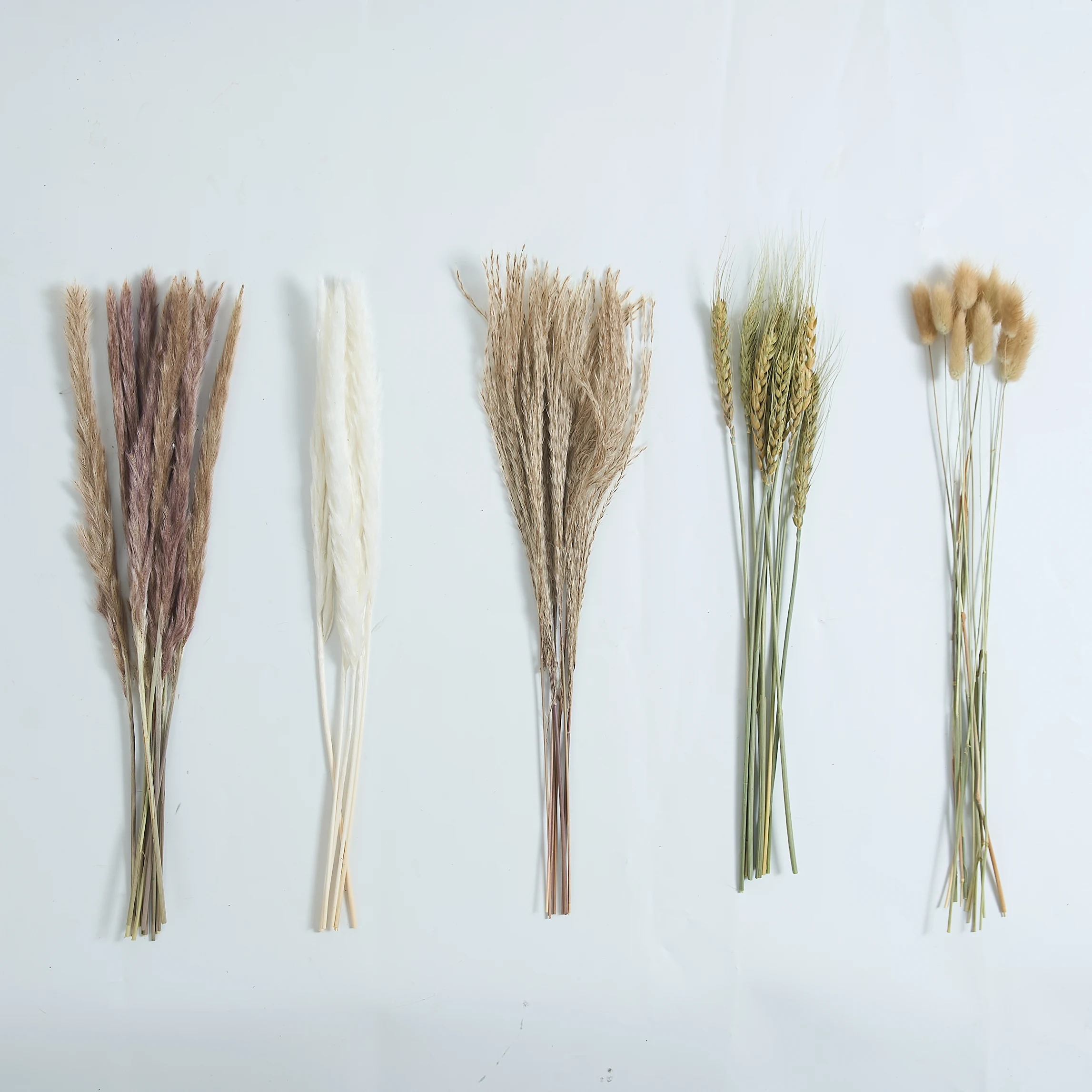 Natural Dried Flowers Pampas Phragmites Rabbit Tail Grass Bouquet for Boho Nordic Home Decor Wheat Ears Wedding Decoration