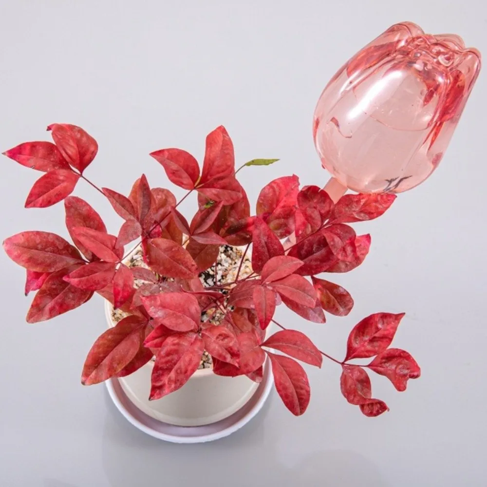 Plastic Tulip Plant Watering Globes Transparent Water Conservation Potted Watering Artifact Time-Saving
