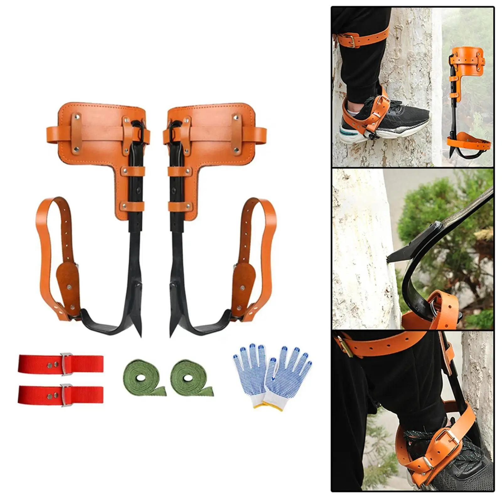 Tree Climbing Spike Stainless Steel Straps Tree Climbing Gear Tree Spikes for