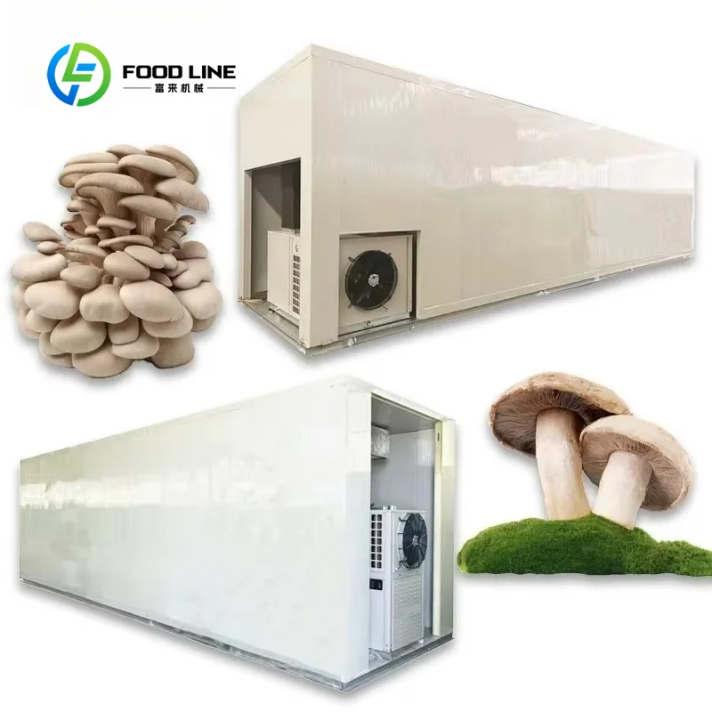 Hydroponic Container Farm Plant Factory 40ft for Leaf Vegetable Lettuce Fodder smart greenhouse for mushroom cultivation