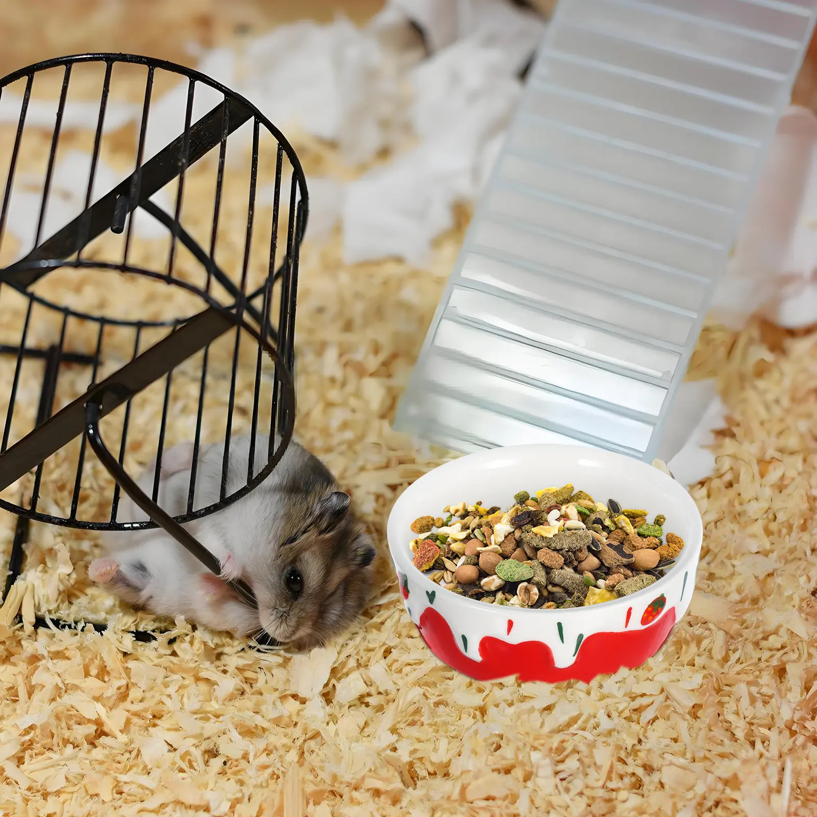 Small Animal Ceramic Food Bowl Anti-Spill Feeding Station for Hamsters Guinea Pigs Chinchillas Rabbits Hedgehogs