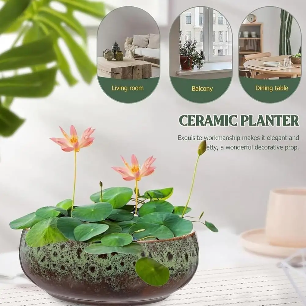 

Lotus Bowl Planter Opening Ceramic Lotus Flowerpot Glazed Goldfish Bowl Bonsai Bowl Lotus Pot For Hydroponics Plants Daffodil